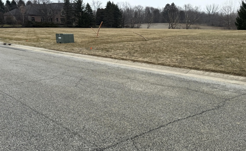 Lot 5