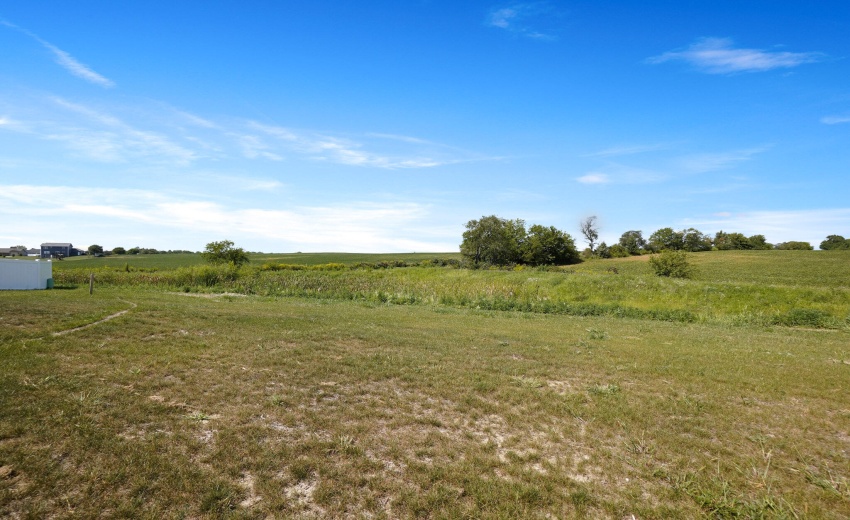 A Back meadows