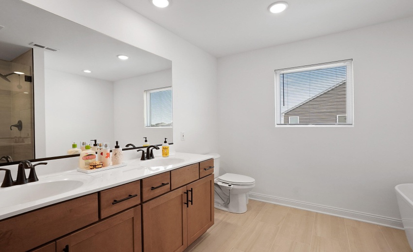A Master bath sink a