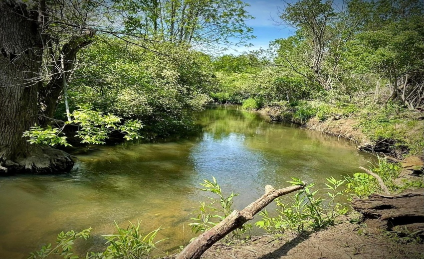 04cb02801dd3dbf58d7cfc9d0ca2dcd2