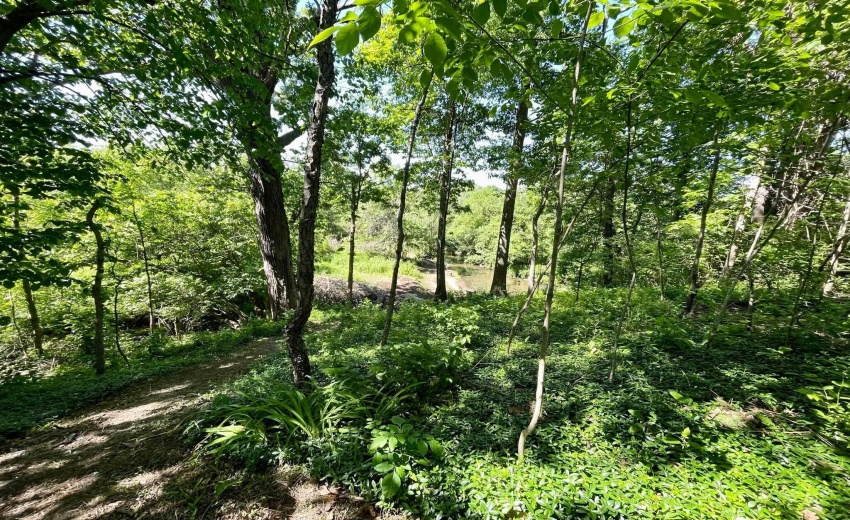 b0f4d408e616aa4f5542fa8ae43d3330