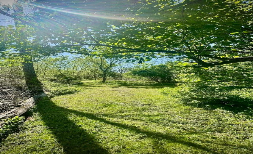 15ce4306c244a98d30e87a5b36a45082