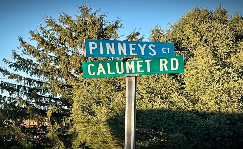 44e95ef1b5de2d0e65bce646cb136685