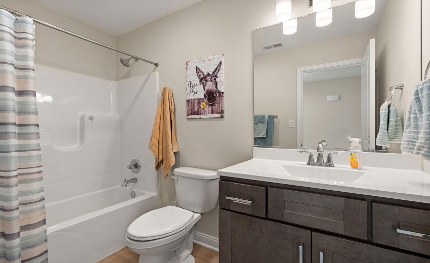 28-web-or-mls-DSC05191