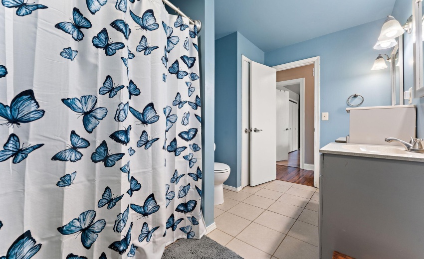 16-web-or-mls-DSC03710