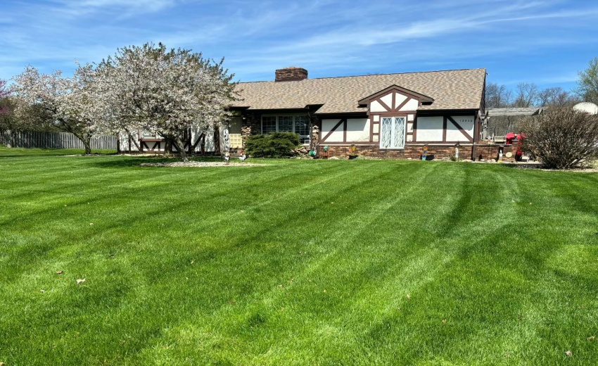 image000000sdfgsdfgsdfg