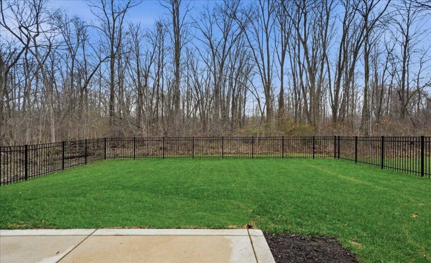 Fenced-in yard