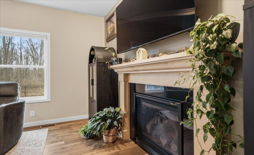 Living room fireplace