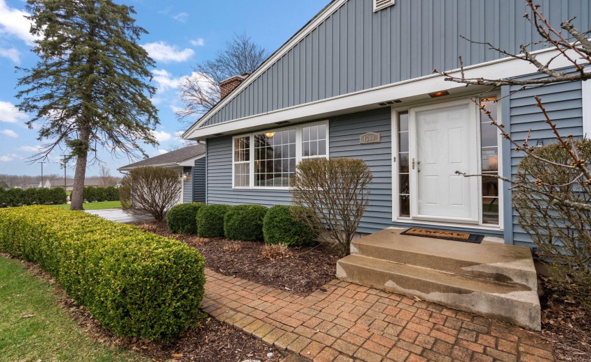 4-web-or-mls-DSC06219