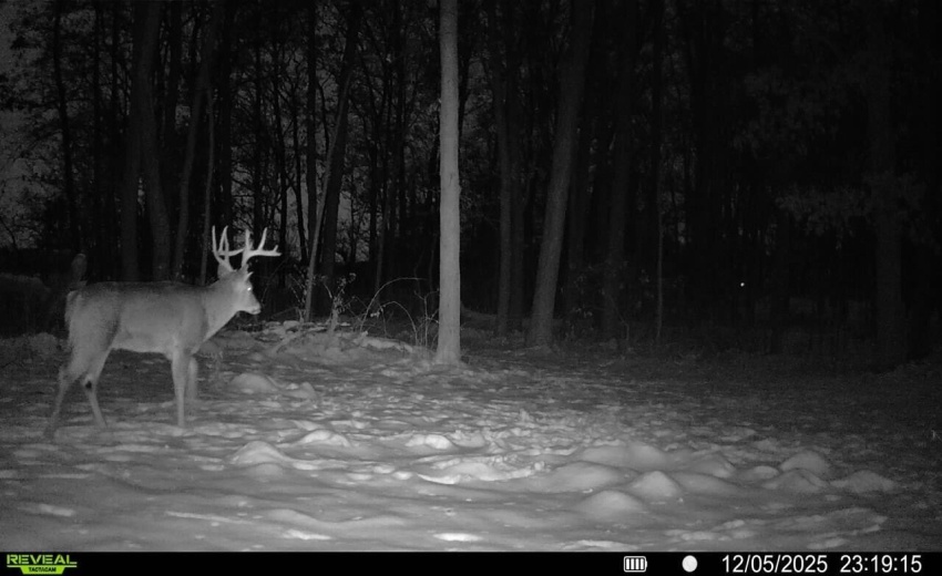 thumbnail_016579001495071-76-4-120520252