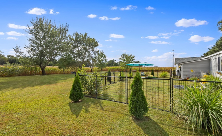 45-web-or-mls-IMG_6511