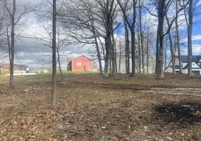 713 Druim Trail, Crown Point, Indiana, ,Land,For Sale,Druim,NRA836707