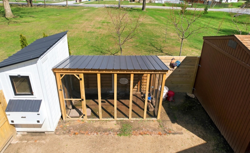 Chicken Coop