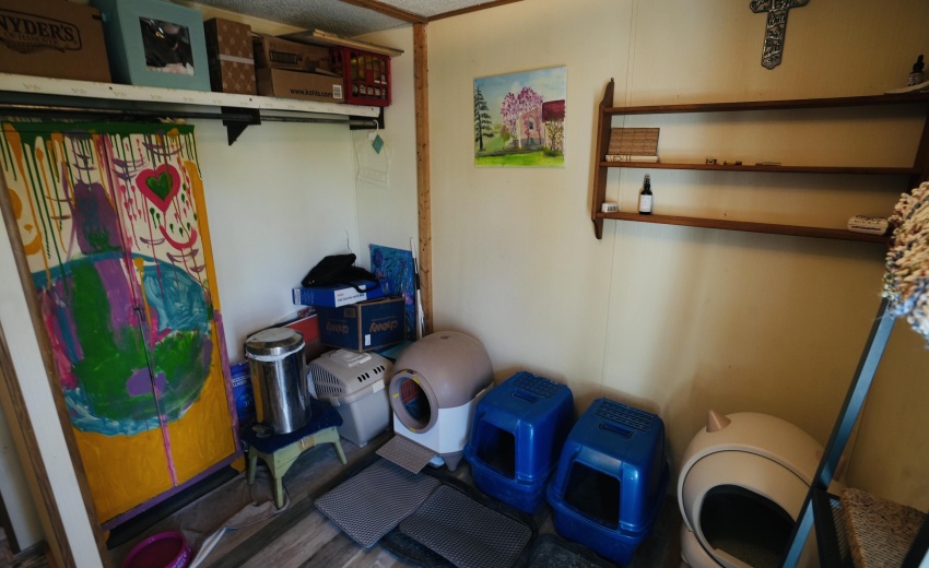 499A48C1-27F0-47EE-99EC-85D8094B27C7