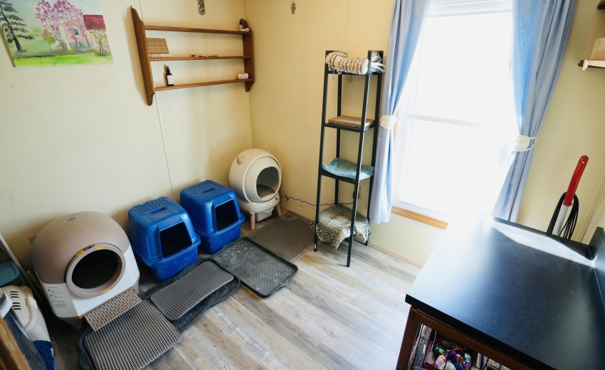 BB3F634C-42B5-42F2-9C07-EEB52B86D106