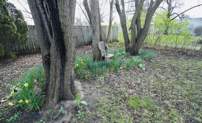 3F55EF99-BFA4-4AF1-9DED-CF98ACADF6BD