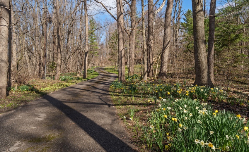 38-web-or-mls-DSC06480