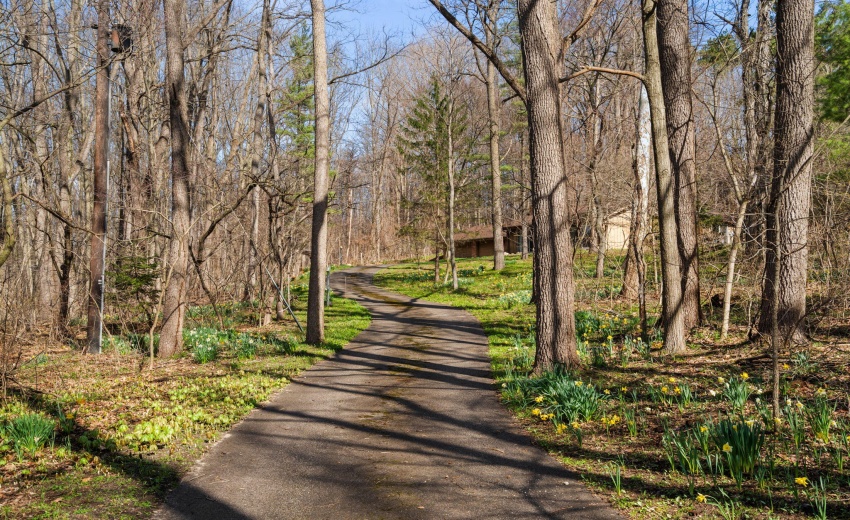 39-web-or-mls-DSC06484