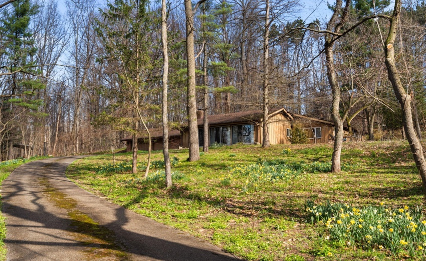 40-web-or-mls-DSC06487