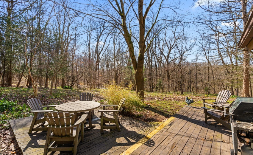 45-web-or-mls-DSC06502