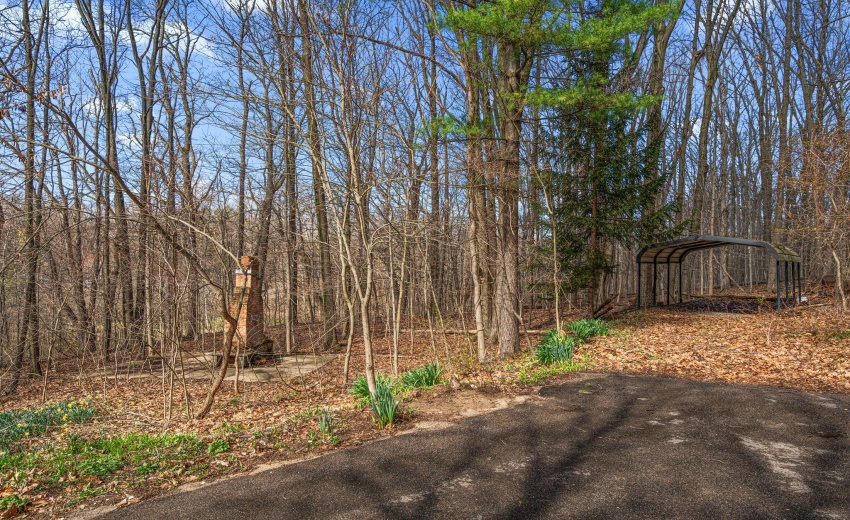 47-web-or-mls-DSC06505