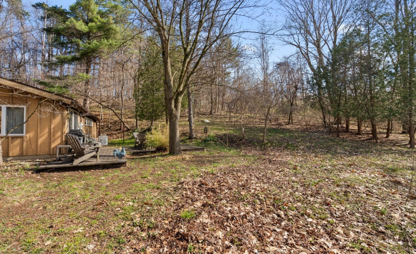 42-web-or-mls-DSC06493