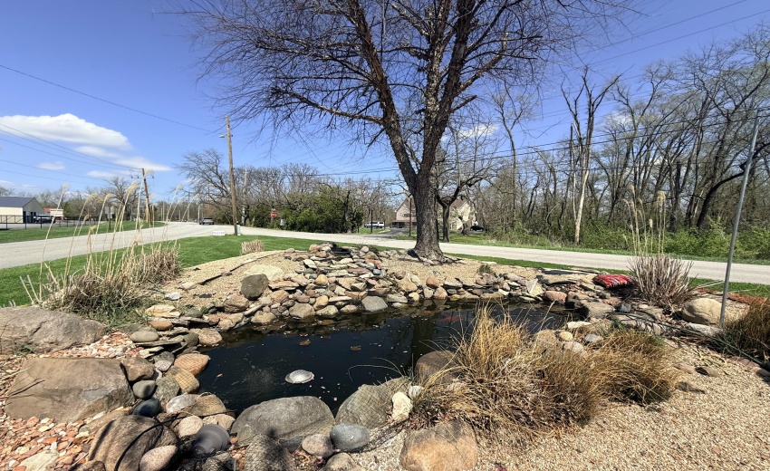 Pond with Waterfall
