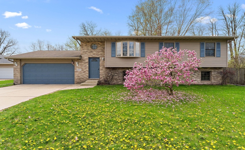 2-web-or-mls-DSC09407