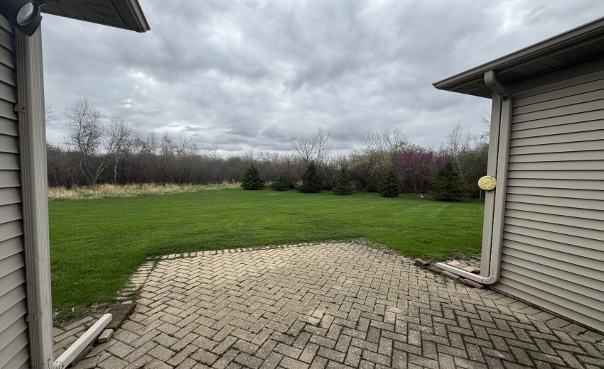 backyard from patio1