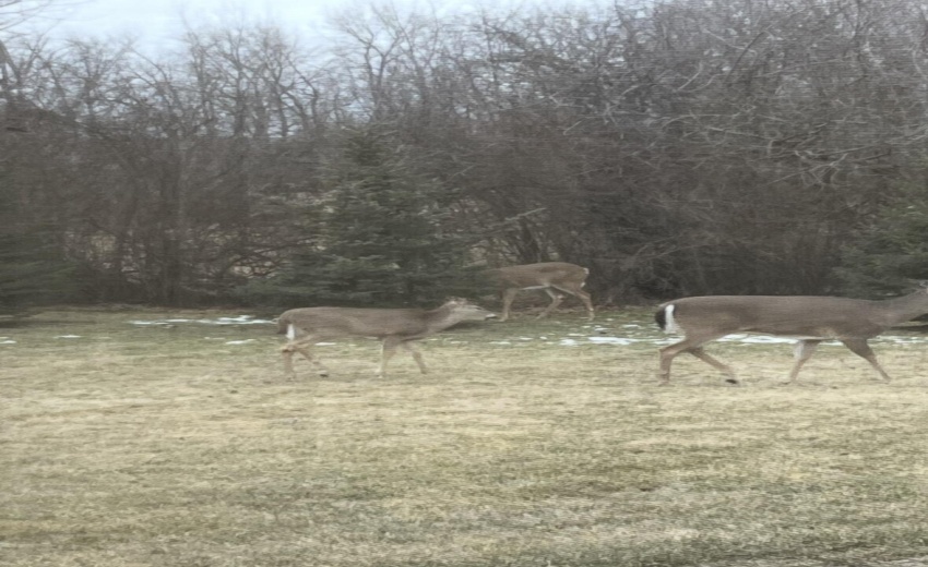 20260416_205011000_iOS