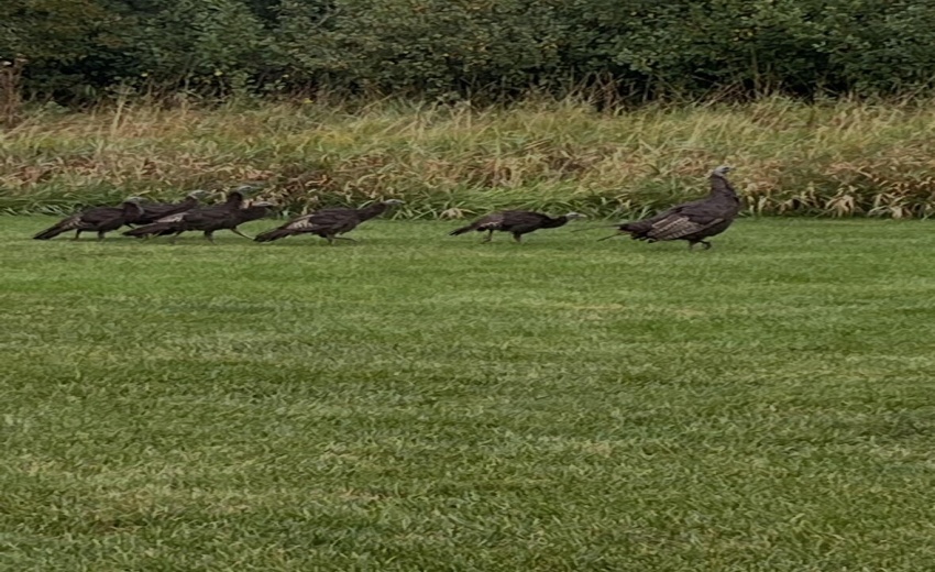 20260416_204958000_iOS