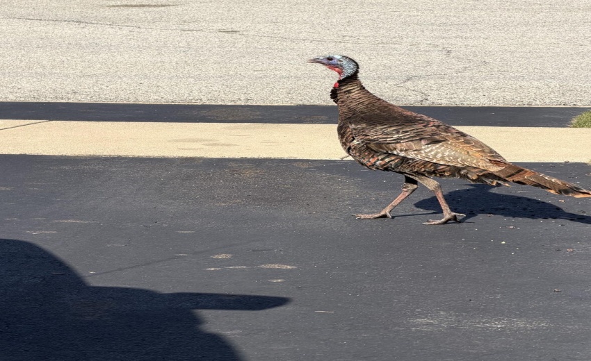 20260416_205036000_iOS