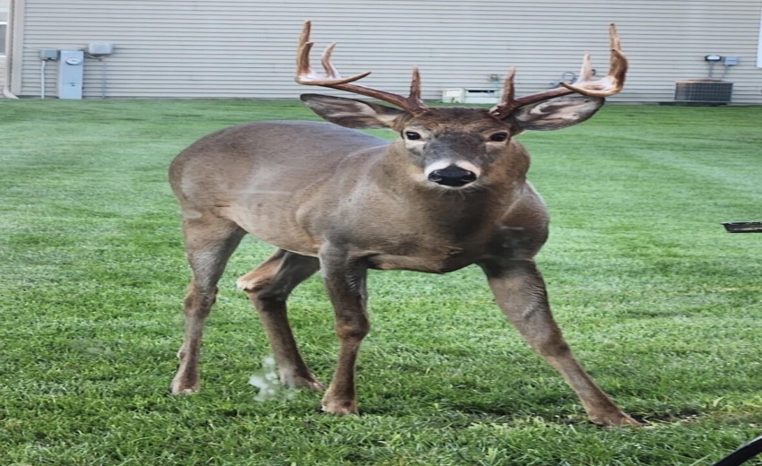 20260416_205050000_iOS