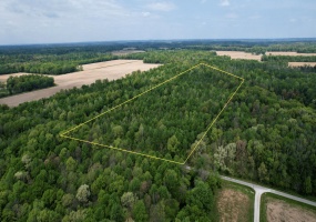 0 Co Rd 775, Oakland City, Indiana, ,Land,For Sale,Co Rd 775,NRA837251