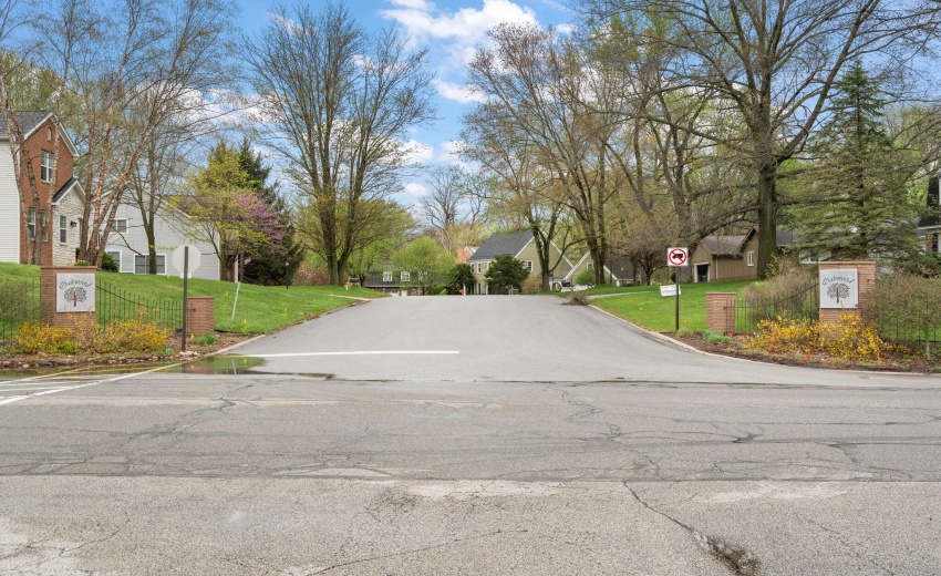 61-web-or-mls-DSC01669