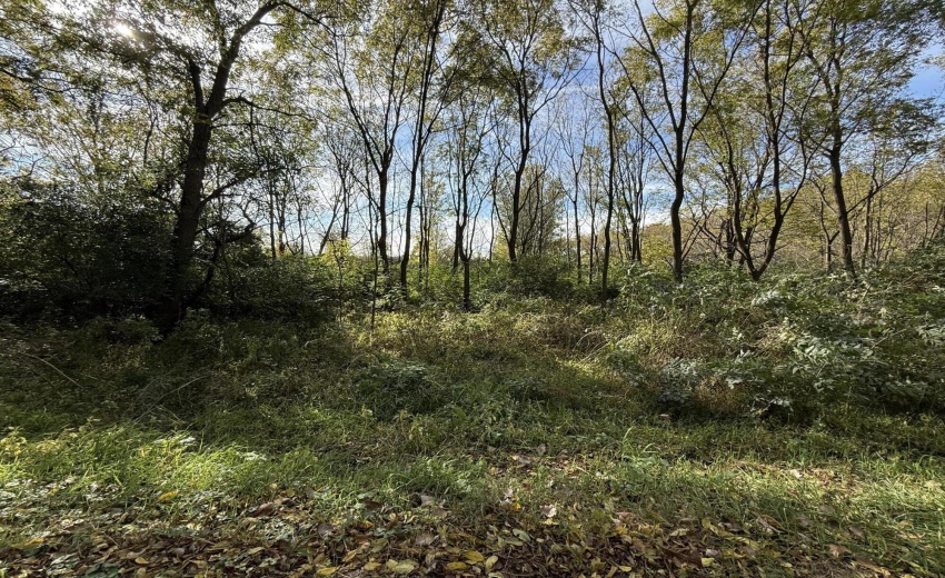 Partially Cleared