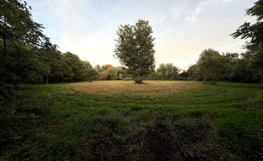 Freshly Mowed