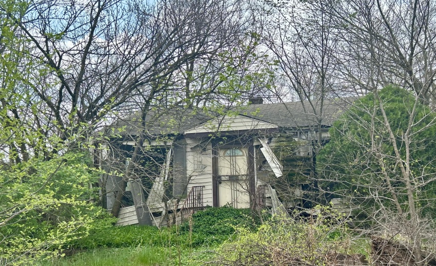 79806047806__73673DE9-FEEF-4D00-8FE9-CCC