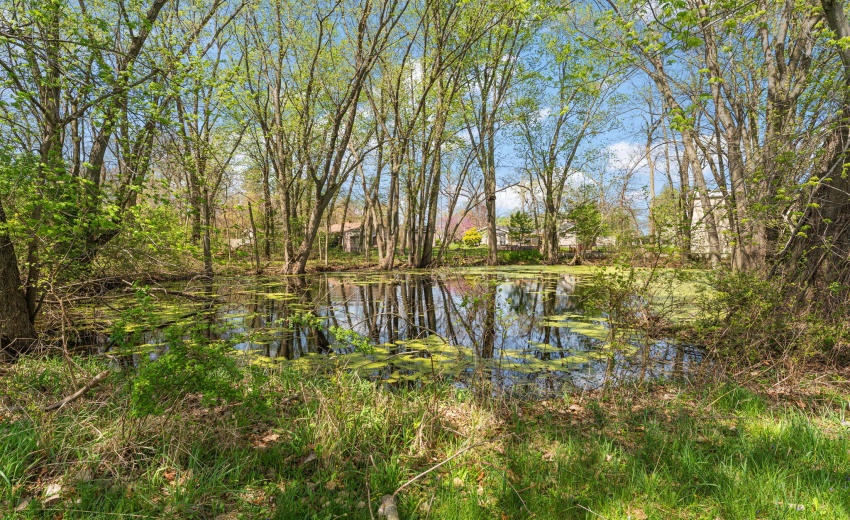 51-web-or-mls-DSC01334