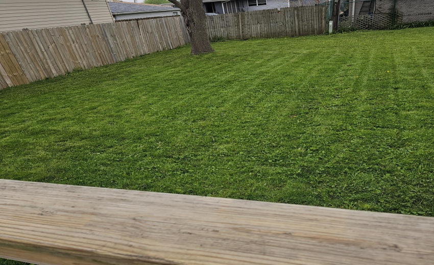 another back yard angle