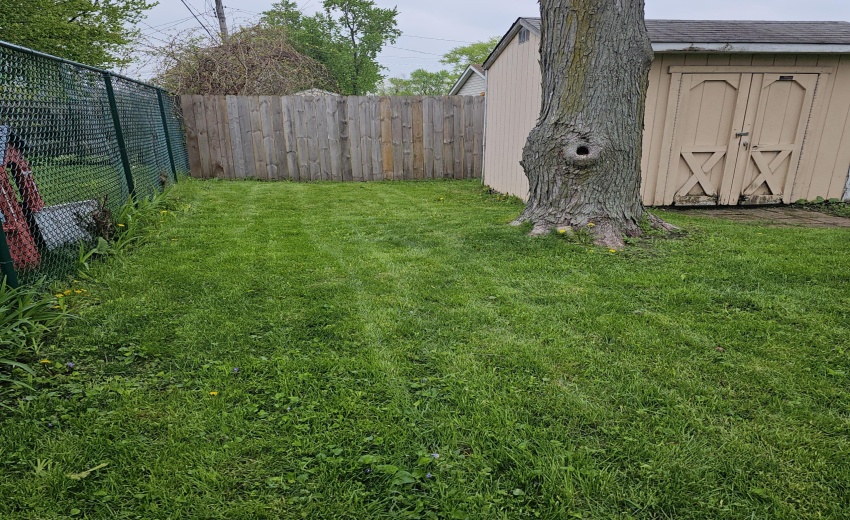 area behind shed, good garden spot