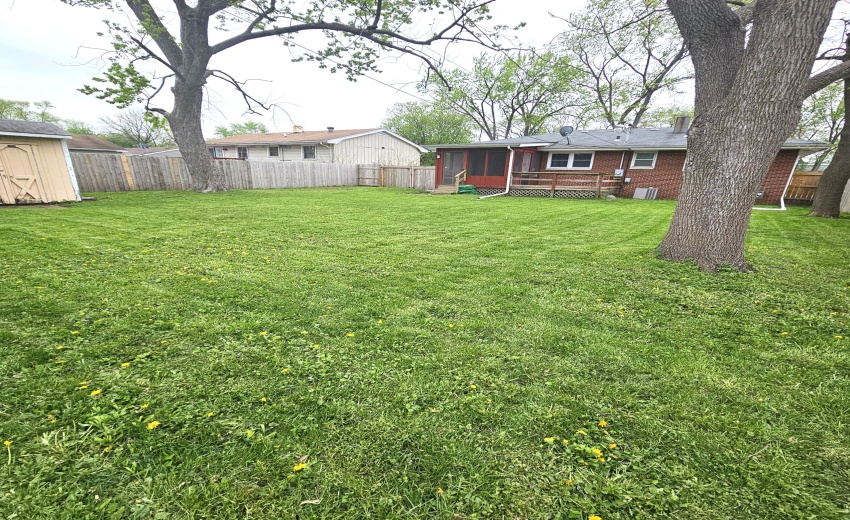 back yard- south side