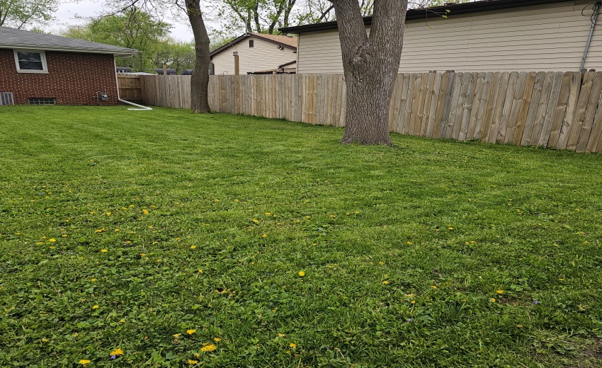 back yard - north side