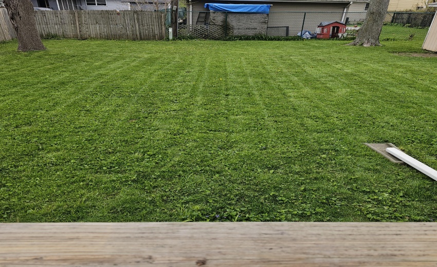 big back yard with space for anything yo