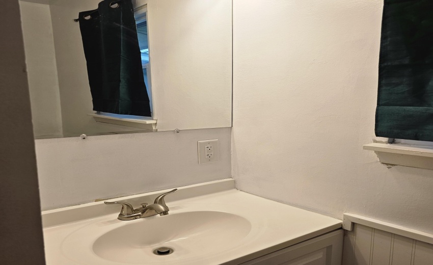 bath sink
