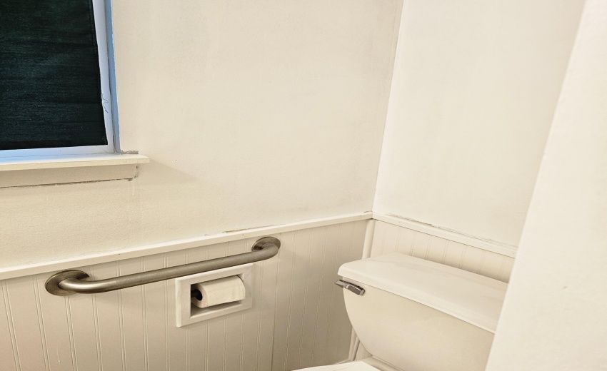 bath toilet, with convenient grab bar