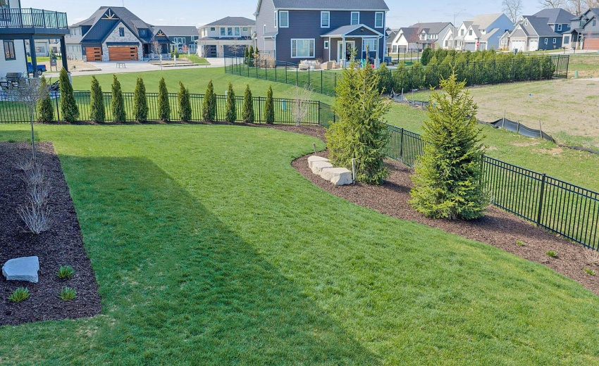 drone backyard