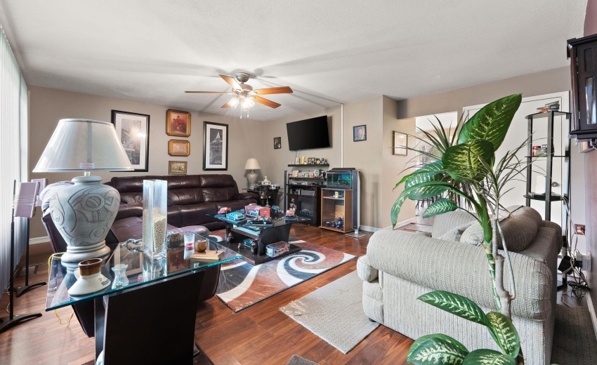 3-web-or-mls-DSC02615