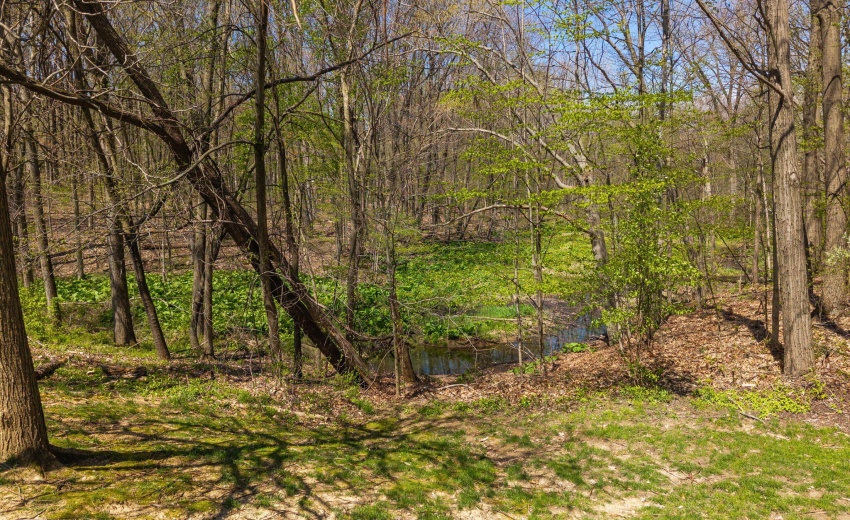 4-web-or-mls-DJI_20260421113139_0091_D