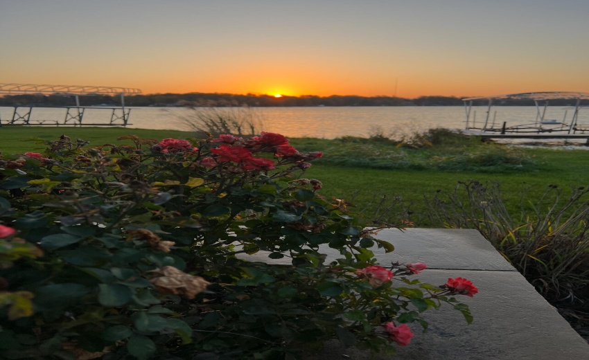 Back of house (lakeside)